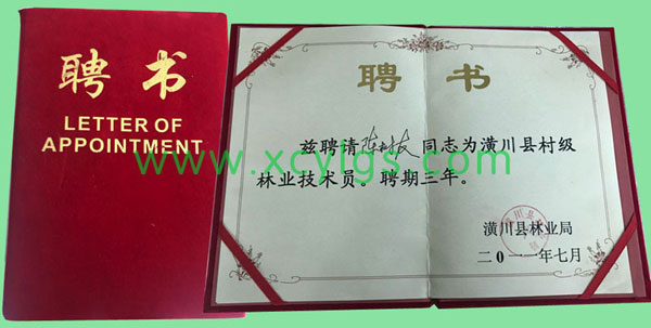 聘書